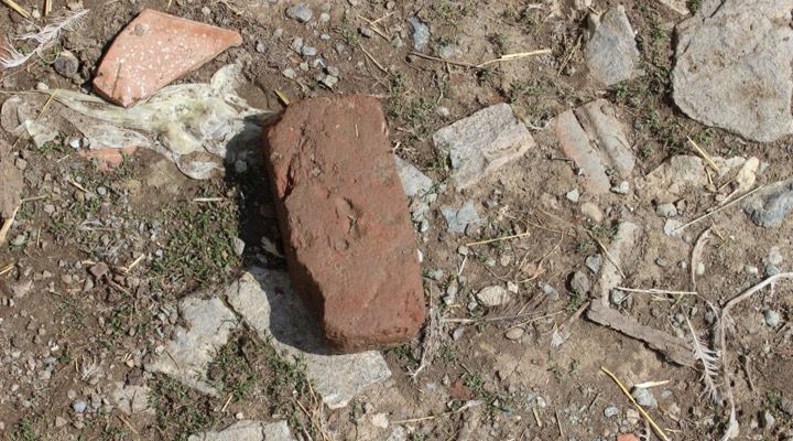 Lester Eubanks Story